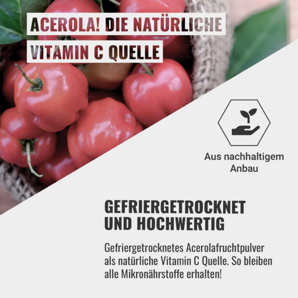 Natürliches Vitamin C aus Acerola