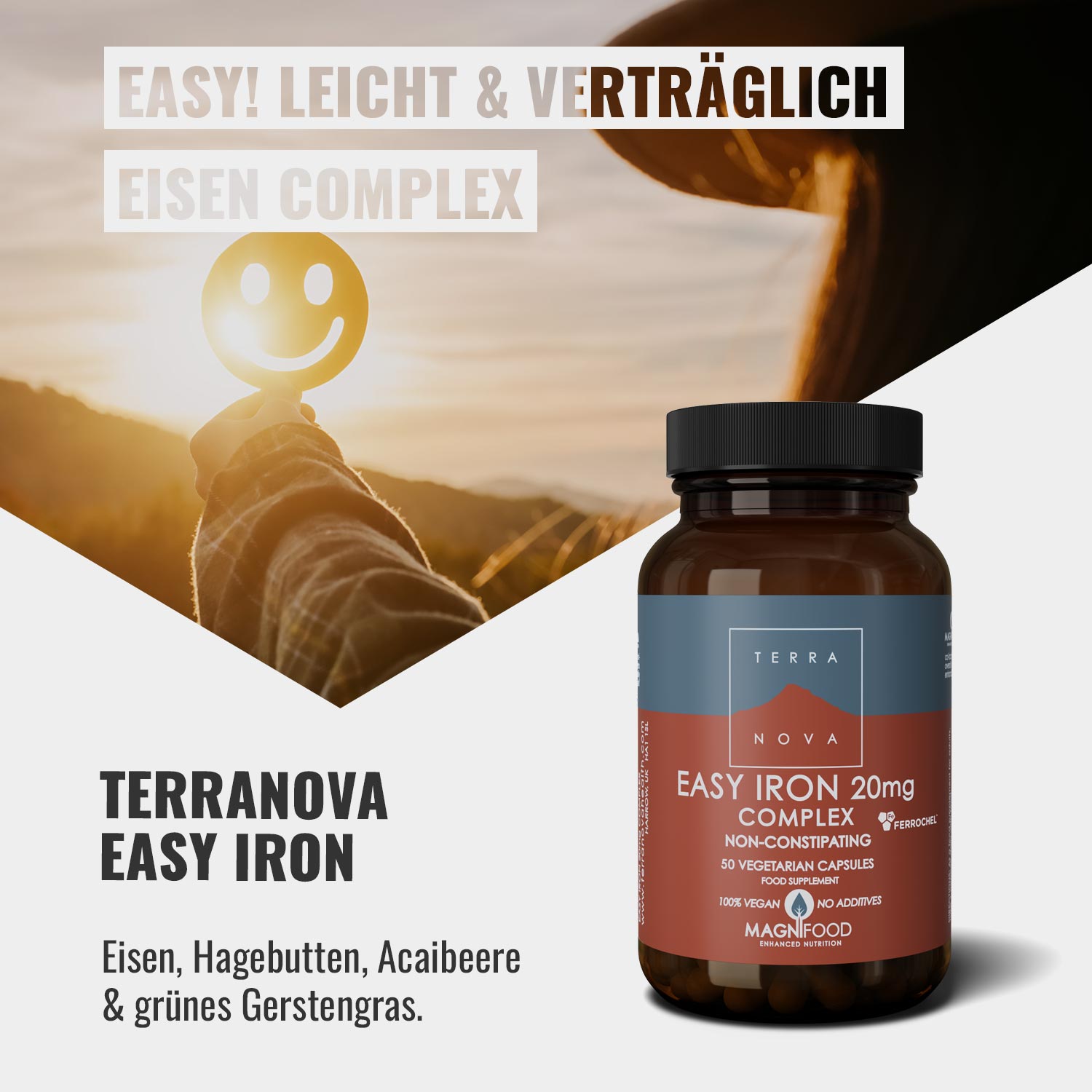 Terranova Easy Iron Complex