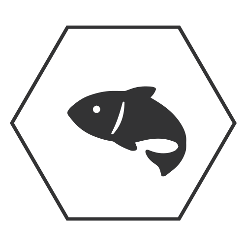 Fischgelatine Softgels